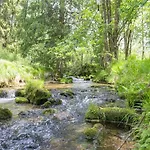 Schwarzenberg Near Lift & Stream