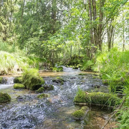 Beautiful With A Natural Stream