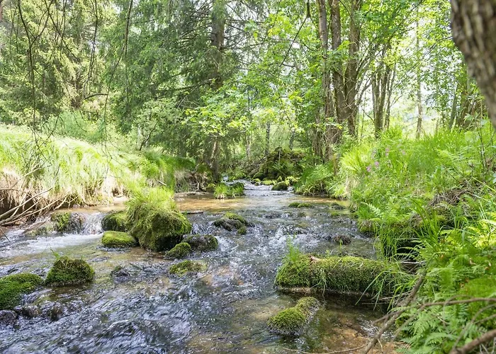 Schwarzenberg Near Lift & Stream